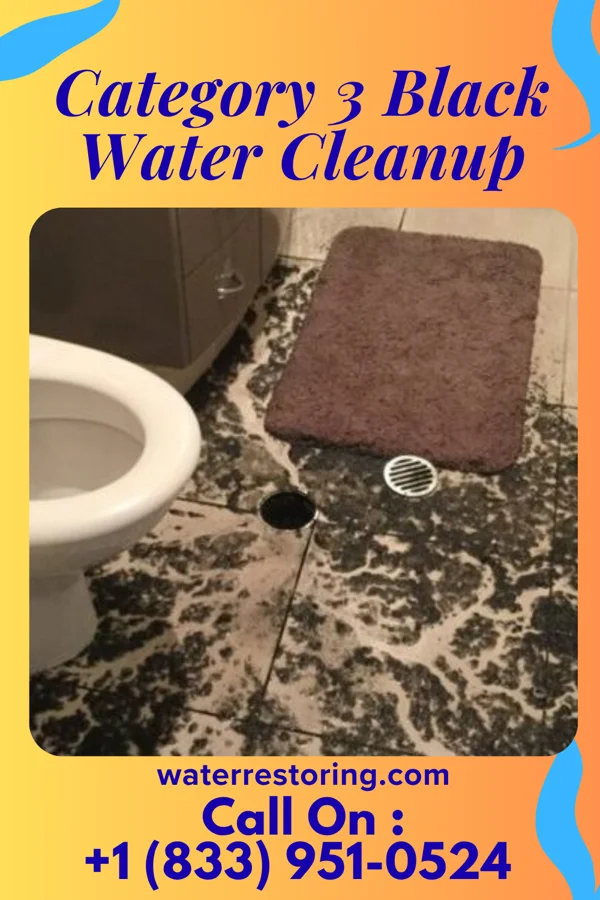 Category 3 Black Water Cleanup in Millerville, MN