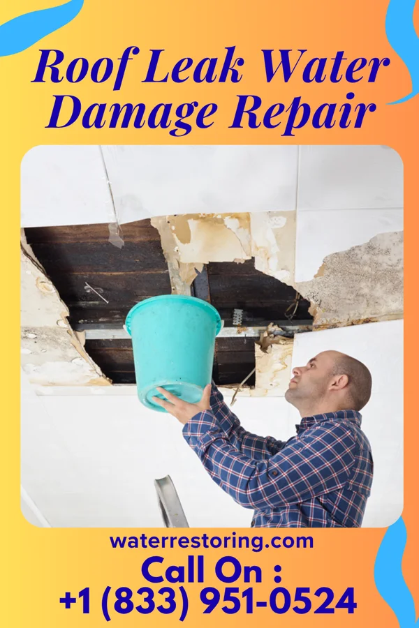 Roof Leak Water Damage Repair in Millerville, MN