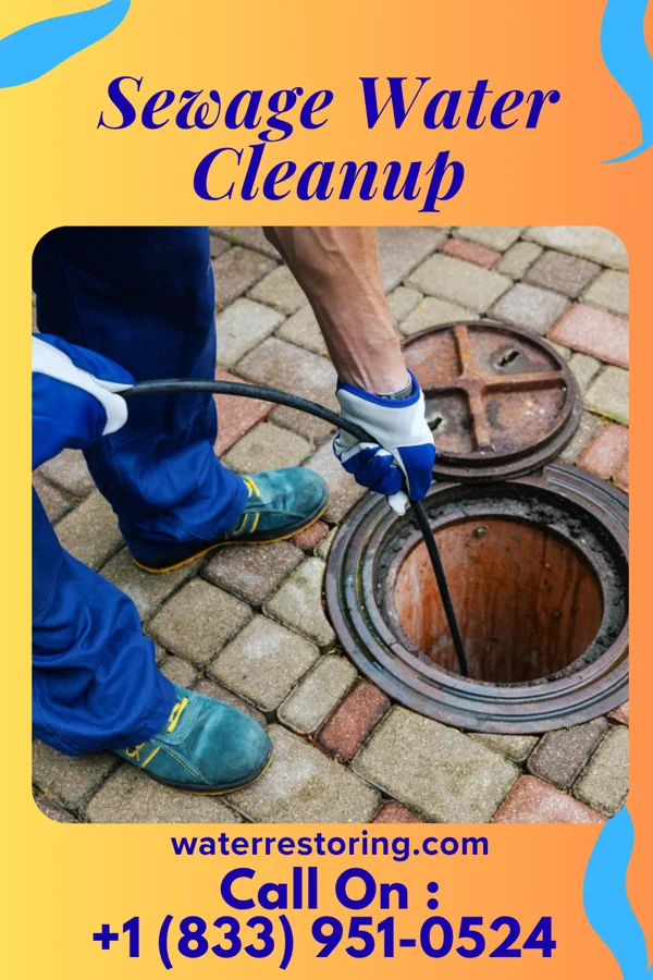 Sewage Water Cleanup in Millerville, MN